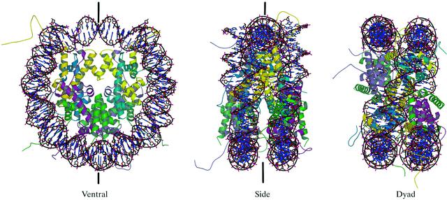 [Figure 3]