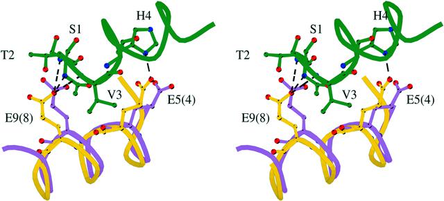 [Figure 9]