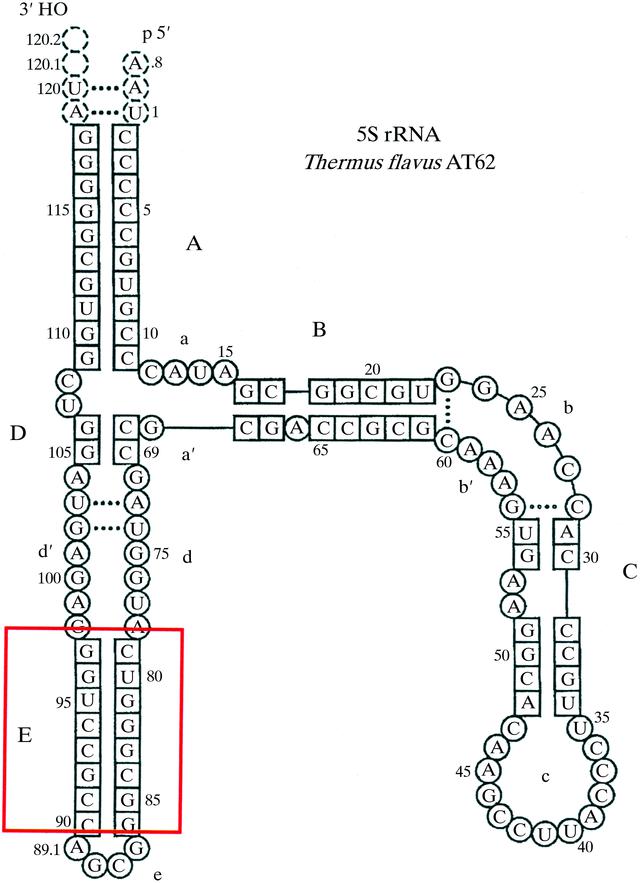 [Figure 1]