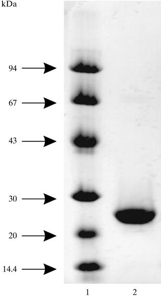 [Figure 1]