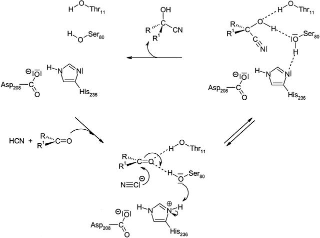 [Figure 5]