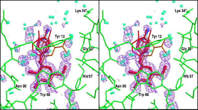 [Figure 3]