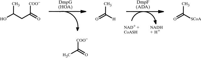 [Figure 1]