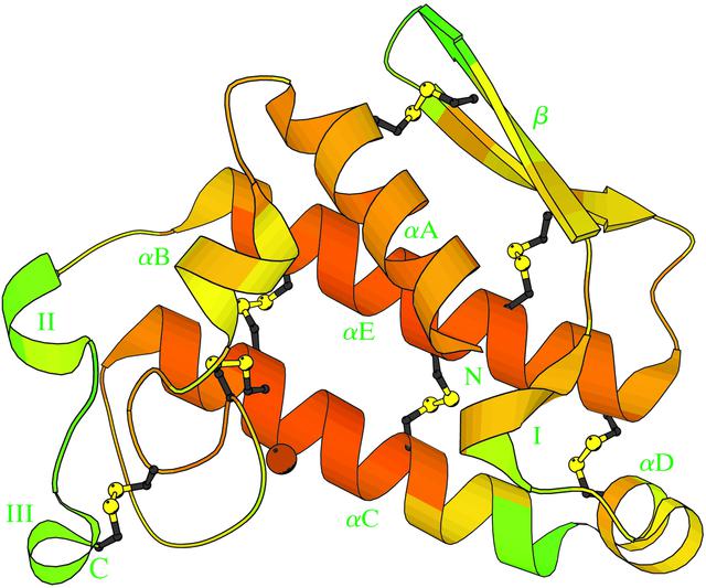 [Figure 2]