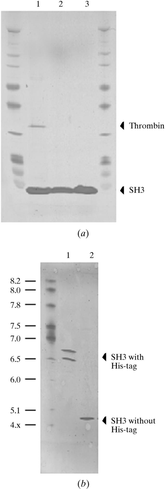 [Figure 1]