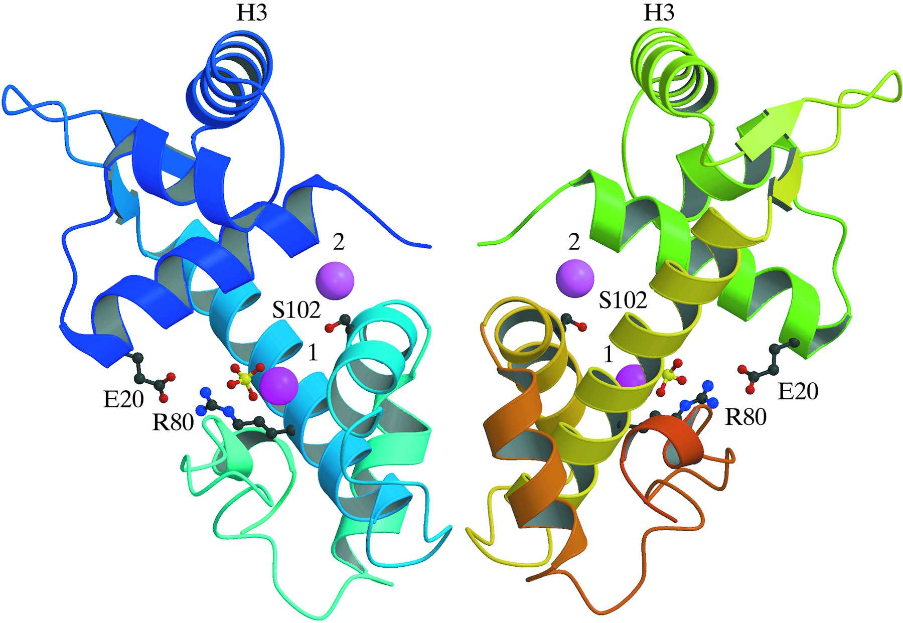 (IUCr) Structures of three diphtheria toxin repressor (DtxR) variants ...