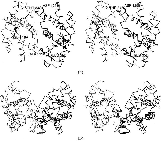 [Figure 6]