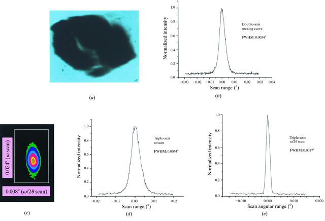 [Figure 4]