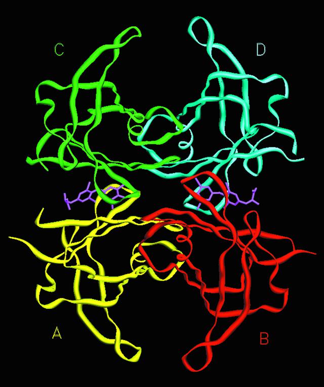 [Figure 3]