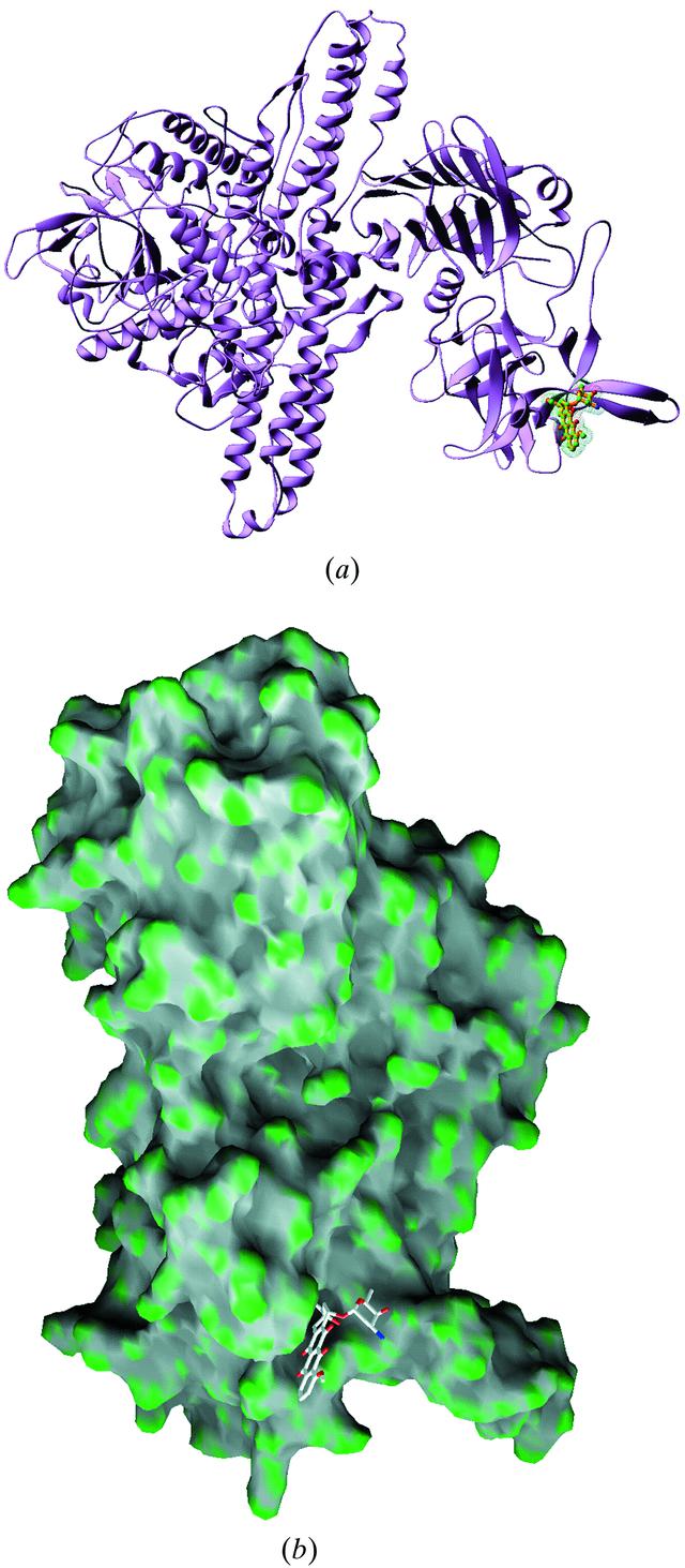[Figure 2]