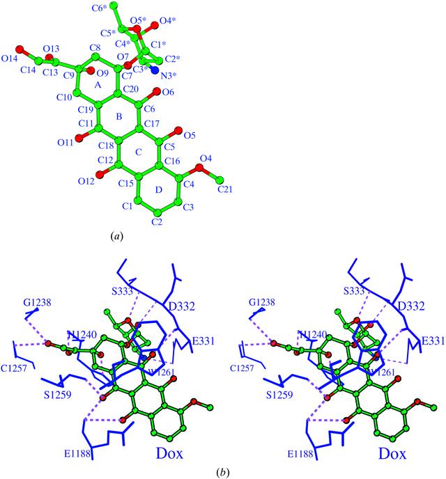 [Figure 3]