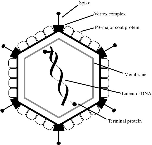 [Figure 1]