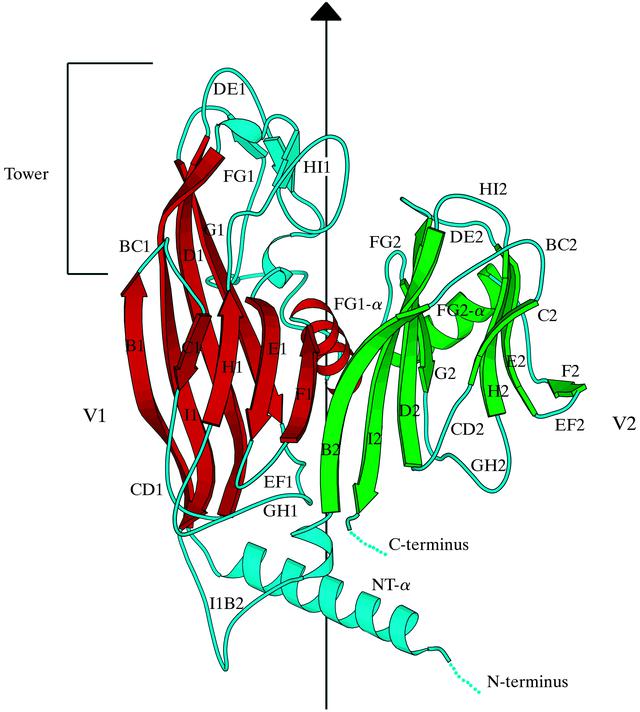 [Figure 2]