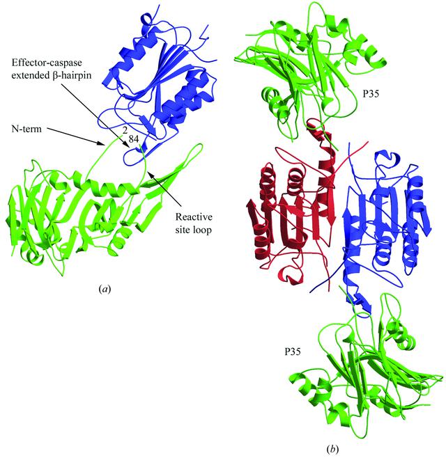 [Figure 1]