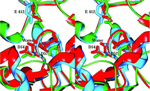 [Figure 5]