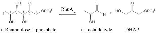 [Figure 1]