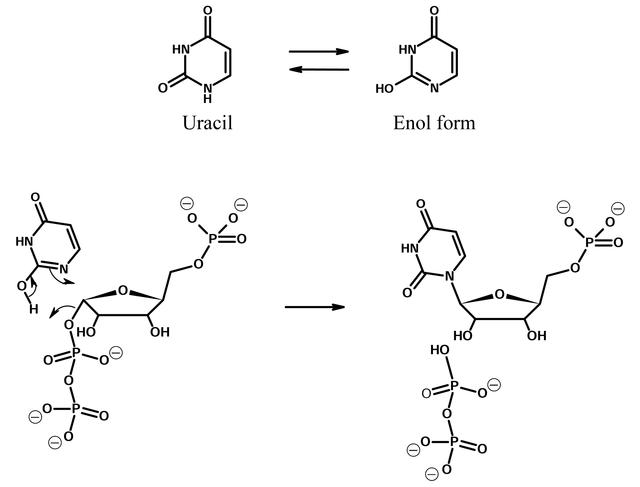 [Figure 8]