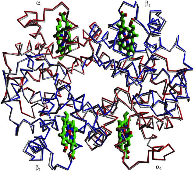 (IUCr) Structure of mutant human carbonmon­oxy­hemoglobin C ( β E6K) at ...