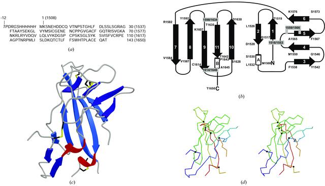 [Figure 2]