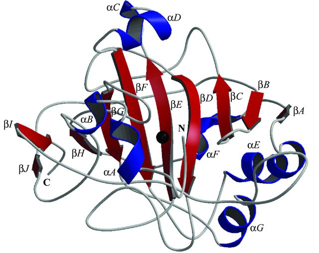 [Figure 1]