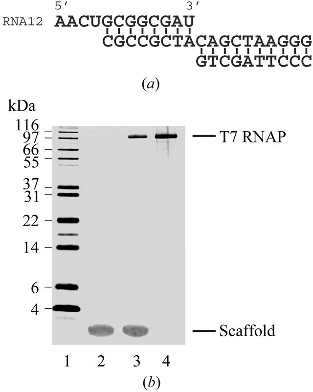 [Figure 1]