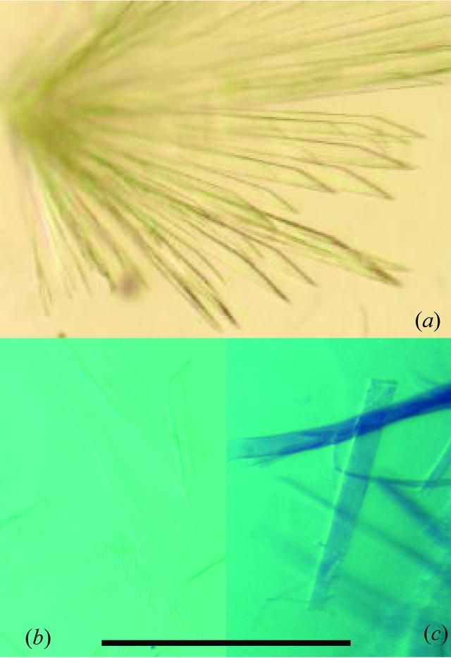 [Figure 1]