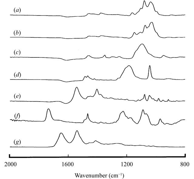 [Figure 2]