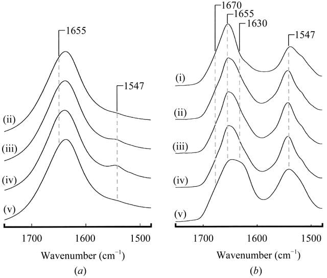 [Figure 4]