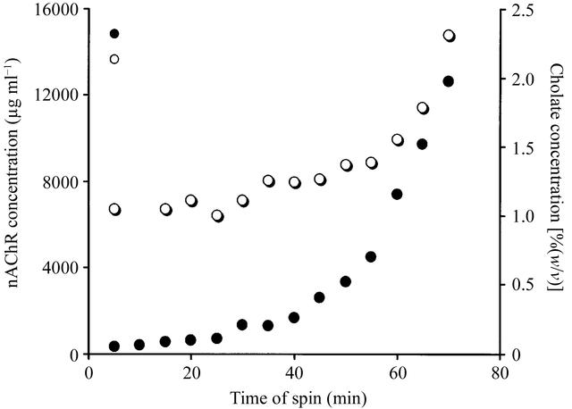 [Figure 5]