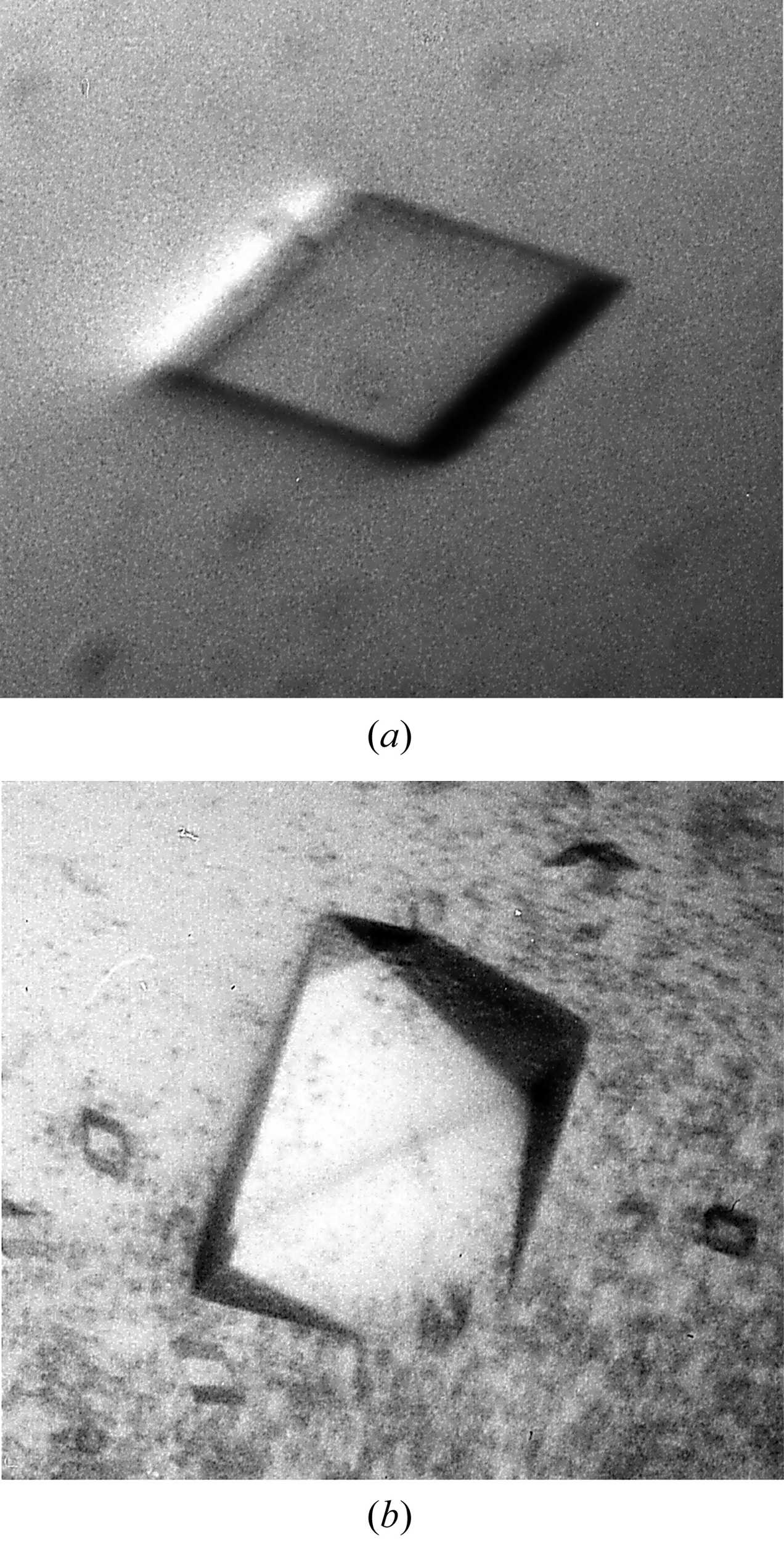(IUCr) Co-crystallization of the yeast phosphorelay protein YPD1 with ...