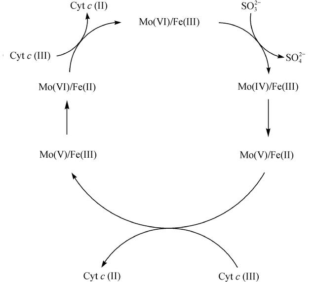 [Figure 1]