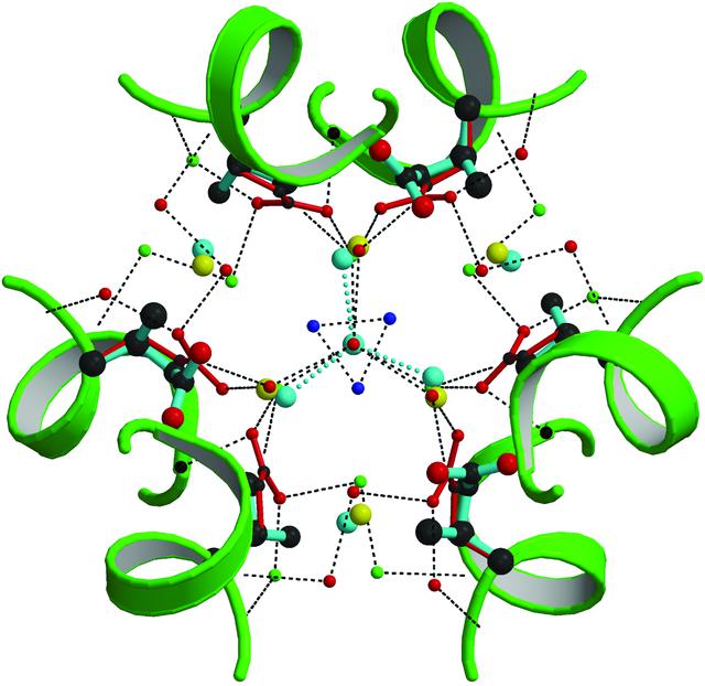 [Figure 9]