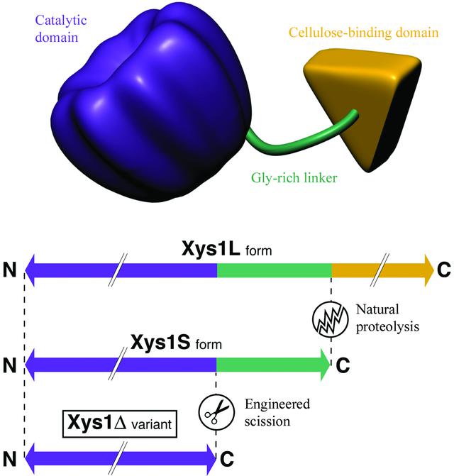 [Figure 1]