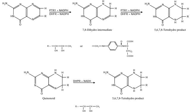 [Figure 1]