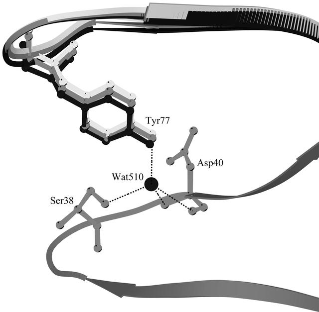 [Figure 5]