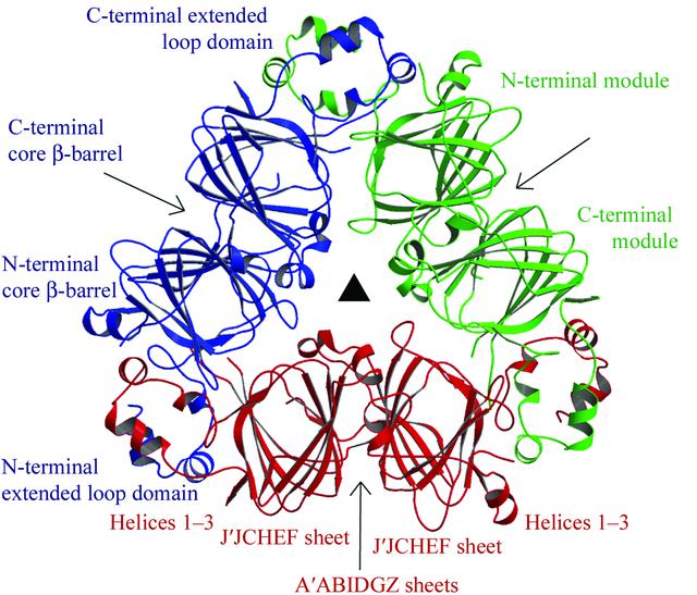 [Figure 1]