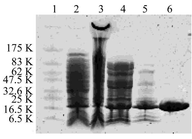 [Figure 1]