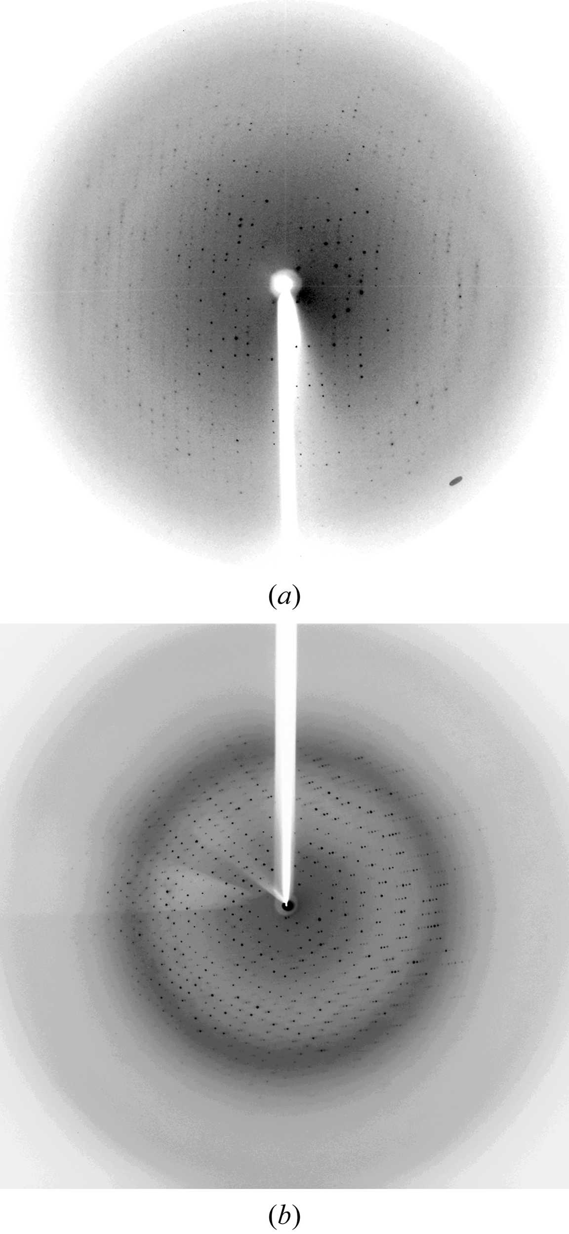 iucr-crystallization-and-preliminary-crystallographic-analysis-of-2