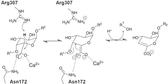 [Figure 5]