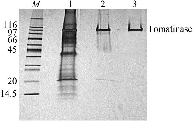 [Figure 1]