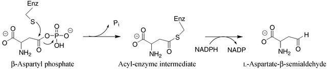 [Figure 1]