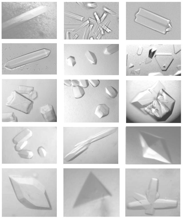 [Figure 1]