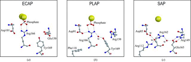 [Figure 4]