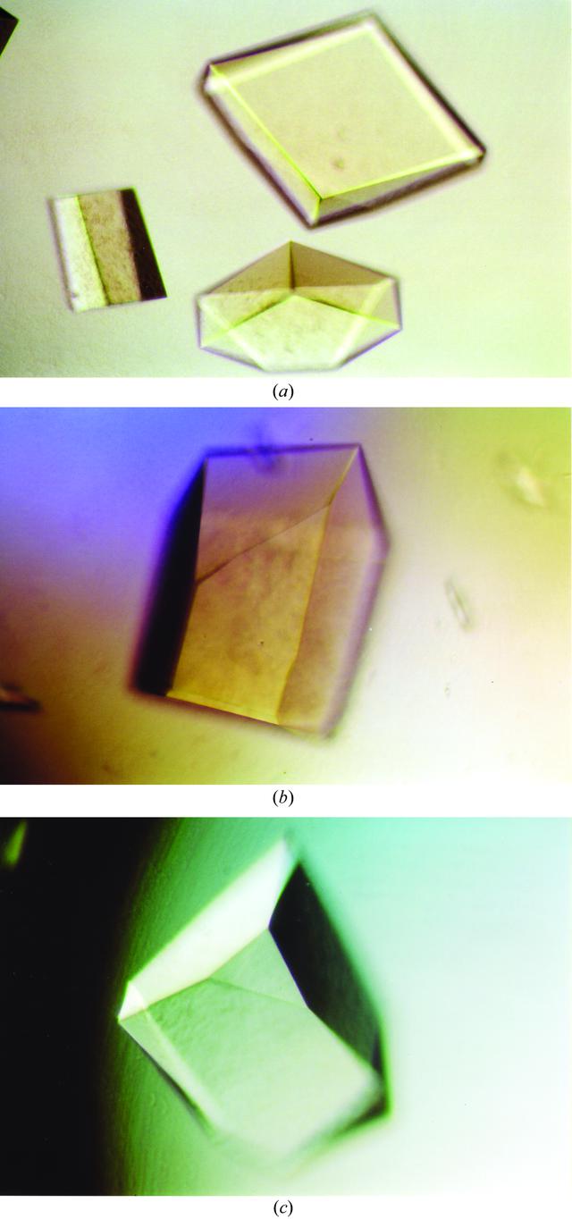[Figure 1]