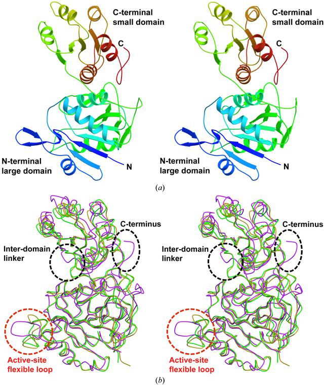 [Figure 1]