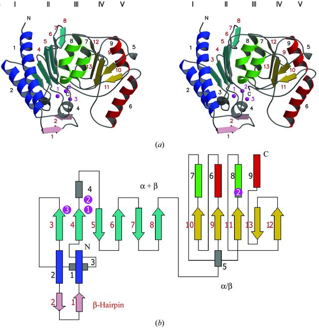 [Figure 2]