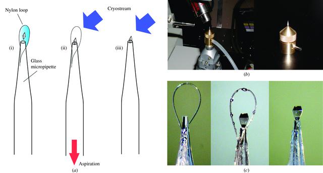 [Figure 1]