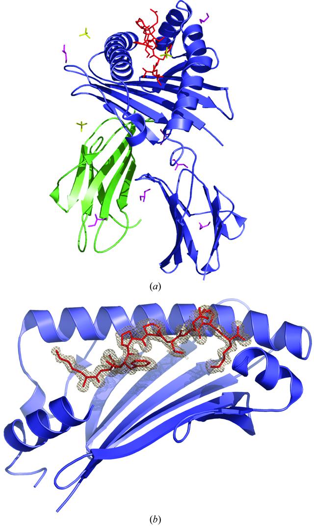 [Figure 1]