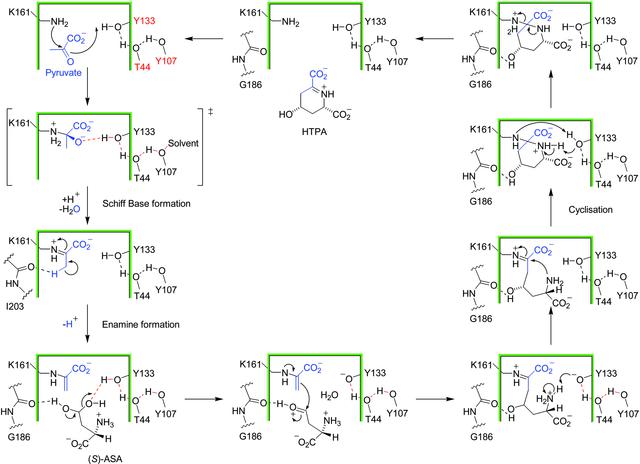 [Figure 2]