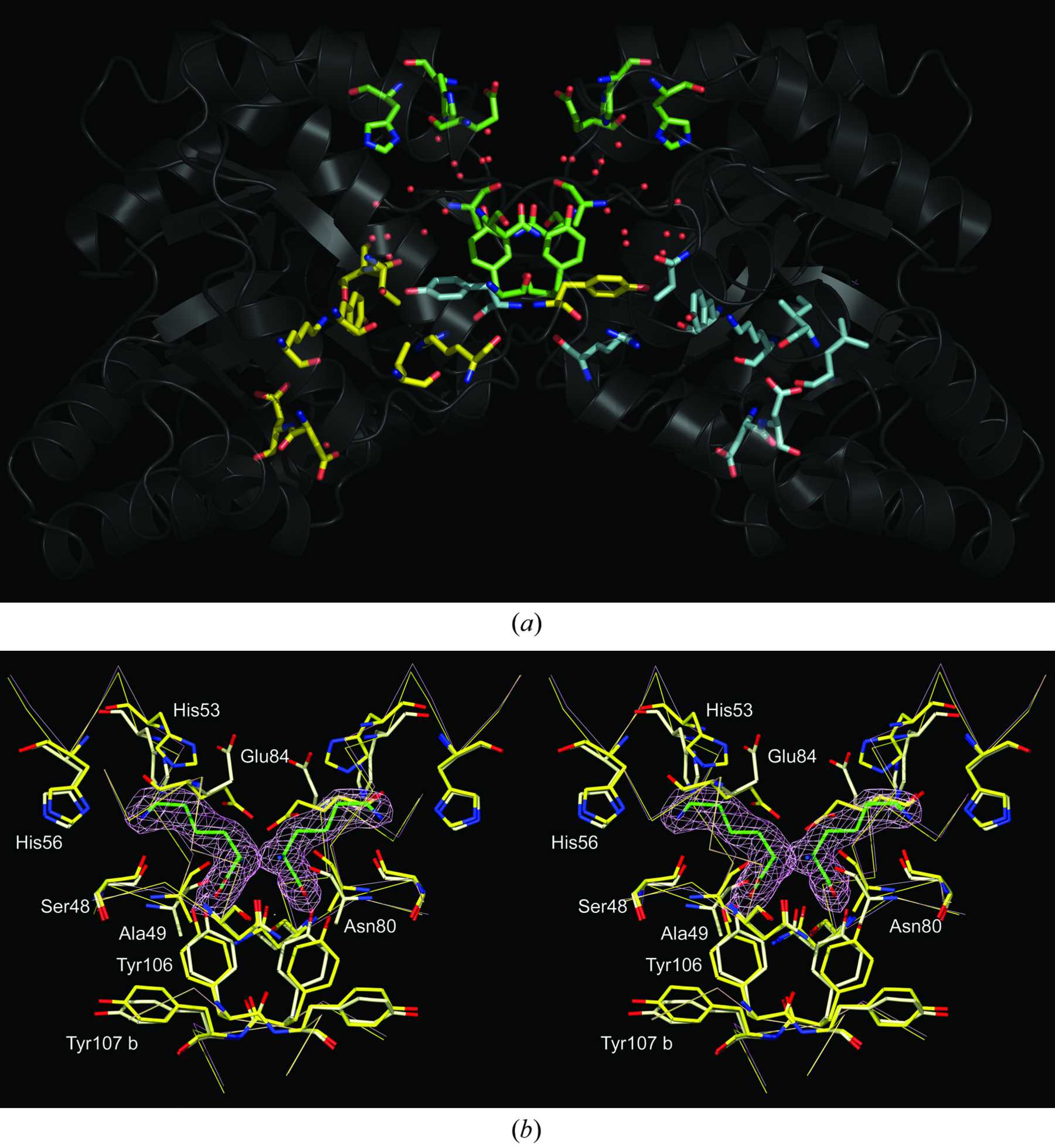 (IUCr) The crystal structures of native and ( S )-lysine-bound di ...